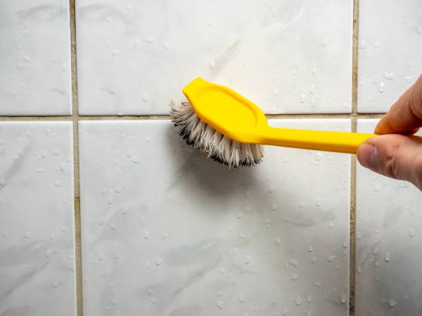 Best Home Mold Removal  in Park Center, CO