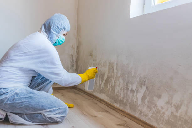 Best Mold Removal Process  in Park Center, CO