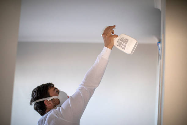 Best Affordable Mold Removal  in Park Center, CO